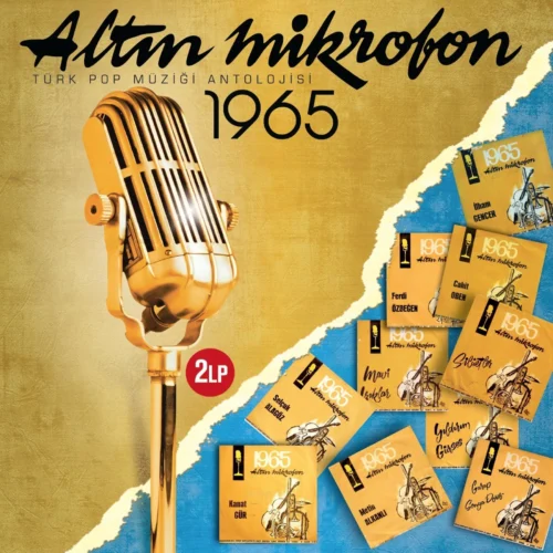 Altın Mikrofon 1965 - Plak