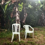 Bad Bunny - Debí Tirar Más Fotos - Plak