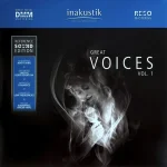 Çeşitli Sanatçılar - Great Voices Vol. 1 - Plak
